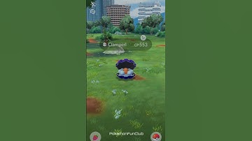 "Discovering the New Shiny Clamperl in Pokémon GO! Latest Pokémon Update 2024"