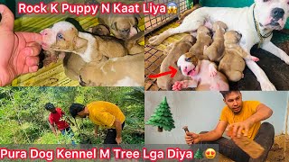 Rock K Puppy N Kaat Liya😰Bda Hogye Puppes🐶 Pura Dog Kennel M Tree Lga Diya🌲Full Green Hogya Kennel🐶