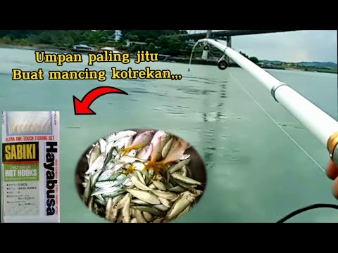 Mancing ikan tamban,umpan Rawai sabiki || auto pane lagi..