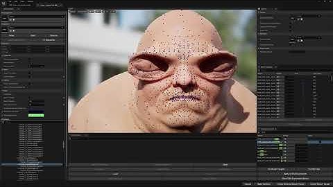 Fix Meta Human Blink DNA Bone Expressions