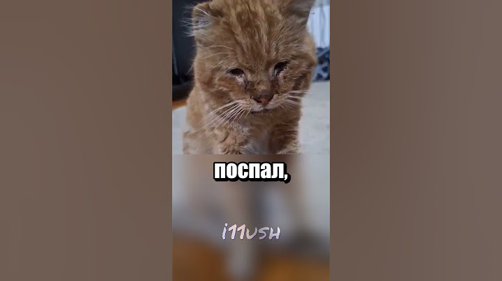 Так выглядит настоящая любовь