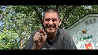 Serenity Search For Gunnar