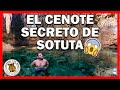 CENOTES DE YUCATÁN ⭐ Descubre la belleza de DZONOT MISS 😍