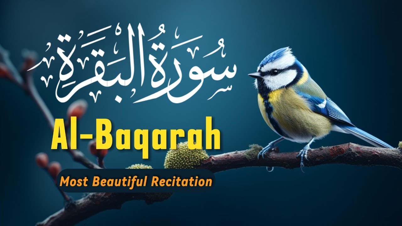 سورة البقرة الشيخ عبد الباسط عبد الصمد القران الكريم Surat Al-Baqarah Beautiful Quran Recitation