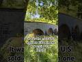 Antietam and D-Day: bloodiest battles in U.S. history #history #america #war #birds #battlefield