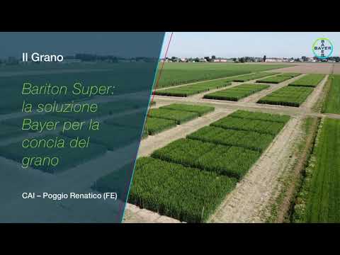 Bariton Super: la
