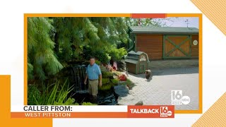 Calls about TV magic | Talkback 16