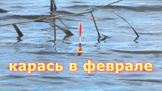видео: Февральский карась на поплавок. Ловля карася по холодной воде картинка: Февральский карась на поплавок. Ловля карася по холодной воде