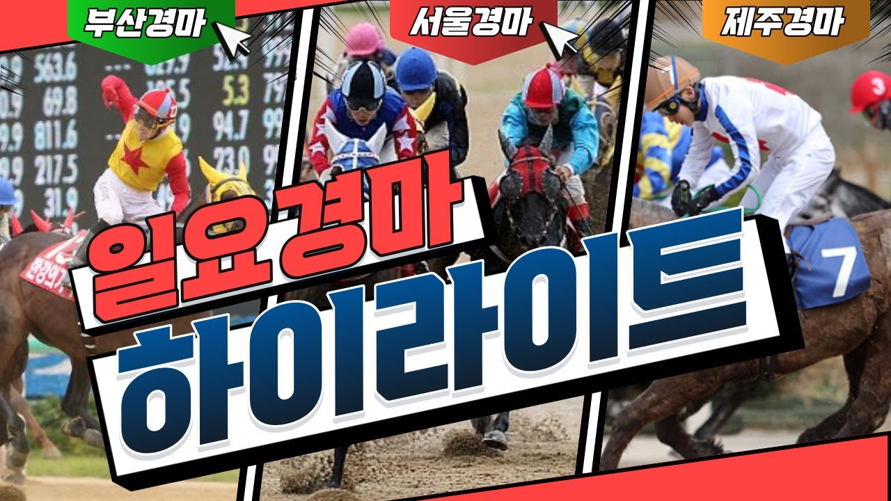 [경마]  2026년1월18일 경주영상 하이라이트(서울/부산)#경마왕#경마#경주결과