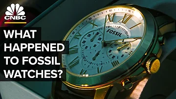 Wann spricht man von einem Fossil?