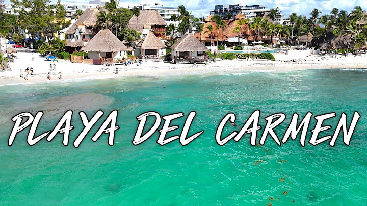 🔴PLAYA DEL CARMEN🌴