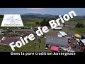 Foire traditionnelle aux bestiaux de brion  compains 63 dans la pure tradition auvergnate