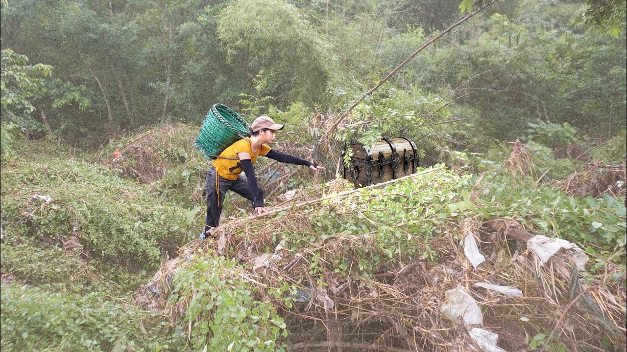 Single mother unexpectedly discovers a large treasure in the wild ...