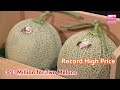 Hokkaido's Yubari Melon fetches record-high price at auction in first summer produce sale