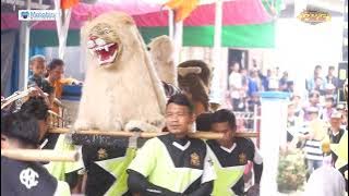 Ayam putih versi dj neroktok  / burok pkc live pengaradan tanjung, 27 september 2025@PKC 