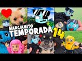 Temporada 14  marcianito y sus amigos  funny viral compilation shorts humor animales memes
