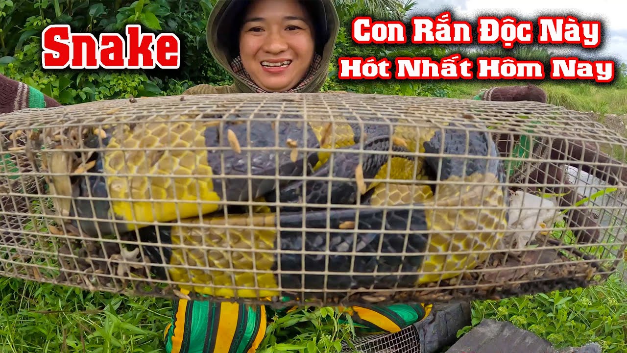 Con RẮN TO Khủng Khiếp Nhất Của Rừng Lá # CSBR # 398 - YouTube