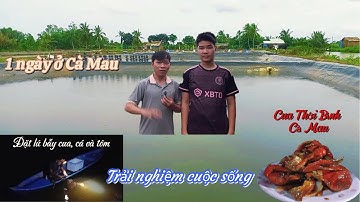 Một ngày ở vuông tôm - Thới Bình Cà Mau - A day in the shrimp farm - Thoi Binh, Ca Mau