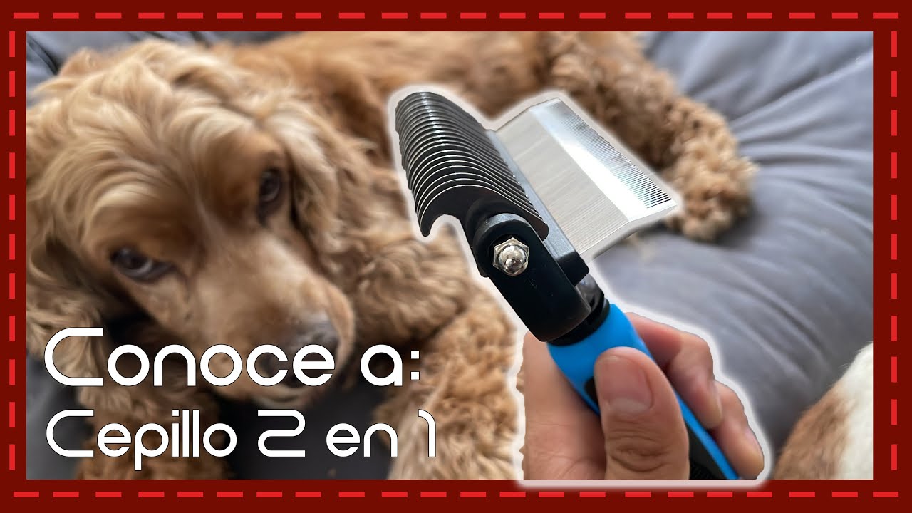 El MEJOR Cepillo de vapor para gatos: ¡Elimina el pelo en minutos! 🐾 