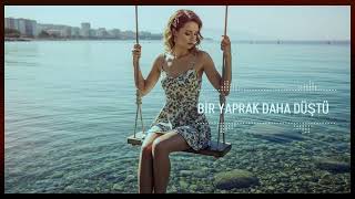 🍁Bir Yaprak Daha Düştü Bak Dalından 🍂 70S Psychedelic Anatolian Rock