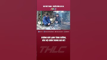 Không khí lạnh tăng cường, Bắc Bộ chìm trong giá rét | THLC