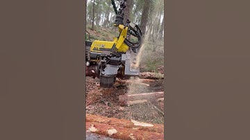Forest Beast: Harvester 1270G in Action #harvester #forest #logging #johndeere #lumberjack #tree
