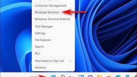 #video ||🔳✔️ How to Open Windows Terminal in Windows 11