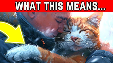 What Cat Body Language Really Means! Understand Your Cat’s Behaviors (Cat Facts Based On Research)