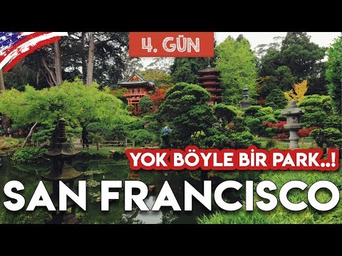 Video: Golden Gate Park'taki Japon Çay Bahçesi Rehberi