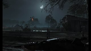 Hunt: Showdown - MAXimum graphics at night! | atmospheric showcase | CryEngine