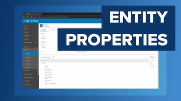 #7 Configuring Entity Properties and Relationships in eCase