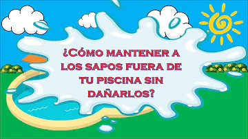 Como se livrar de sapos na piscina?