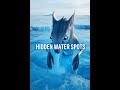 #HiddenWaterSpots#RussiaSecrets#StrangeCreatures#CGIViral#AIMystery #cgivideo #facts #viralvideo