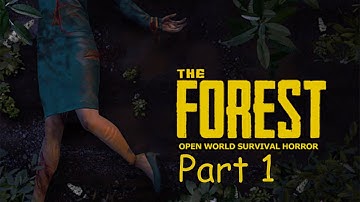 The Forest Part 1 - Crash Landing (NO COMMENTARY)
