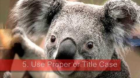 Google AdWords Text Ad Best Practices – Training Highlights