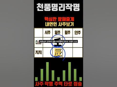 내 연인 사주보기 Ft.임진일주 - Youtube