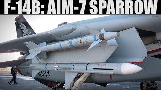 F14B Tomcat: Aim7 Sparrow Tutorial | DCS WORLD