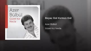 Azer bülbül beyaz gül kırmızı gül Resimi