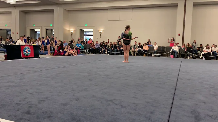 Floor Exercise - Hilton Head Gymnastics Invitation...