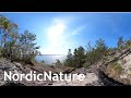 Rugged coast of the baltic sea 360 a sunny early summer day