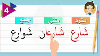 تعلم المفرد والمثنى والجمع باللغة العربية  2021| 4 |