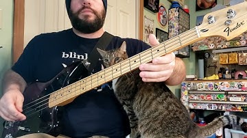 Blink 182 - More Than You Know (Bass Playthrough)