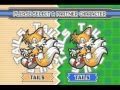 Sonic Advance 3 - Sonic & Sonic