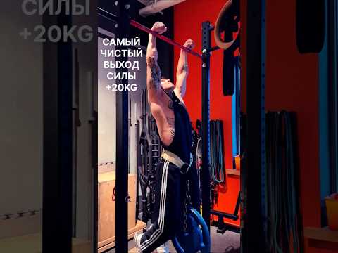 Главные рекорды NILETTO в спорте #music #niletto_official #shortsvideo #рекомендации