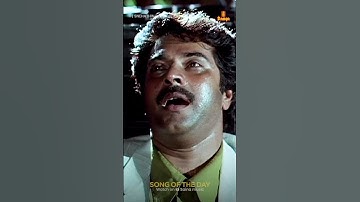Snehathin Poonchola | Pappayude Swandam Appus | K J Yesudas | Ilayaraja | Mammootty | #SongofTheDay