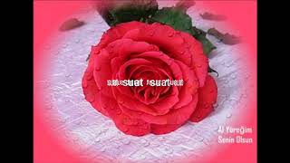 Yıldız Tilbe Haberi Olsun Ben O Yare