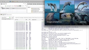 Google Glass Android processes and file system