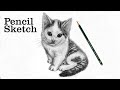 How to draw a cat step by step  cat drawing easy  pencil sketch