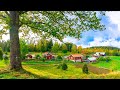 Calm Your Mind With Beautiful Relaxing Music & Beautiful Nature for Insomnia Relief and Meditation