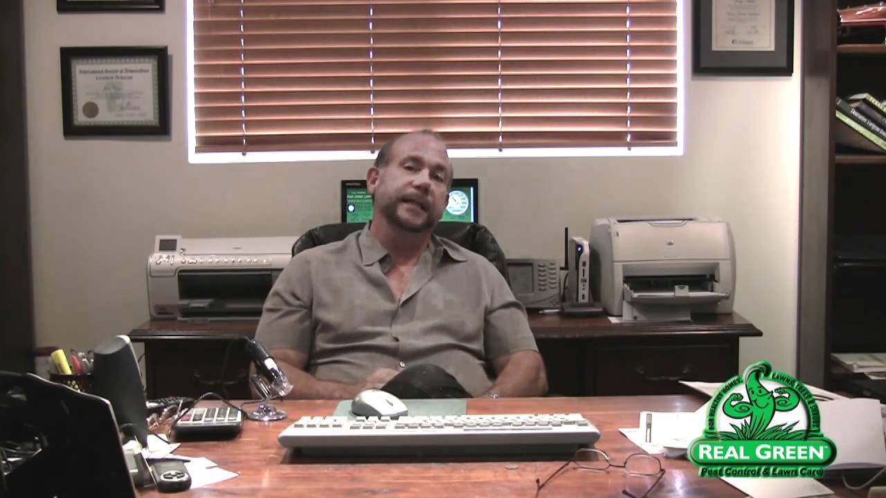 Organic Pest Control Austin YouTube